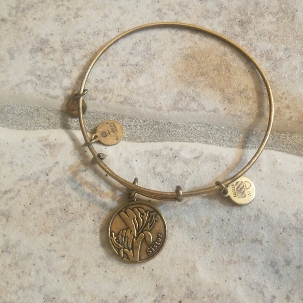 'SISTER' ALEX AND ANI
